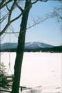 Sunapee, NH - Mountain, Lake, and Bird Feeder - Winter